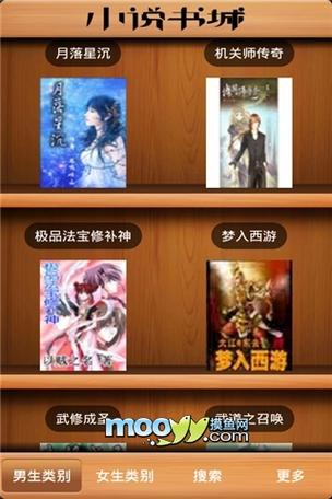 书城小说旧版本缩略图