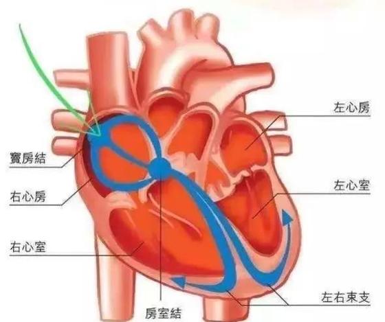 心房扩大有没有办法控制