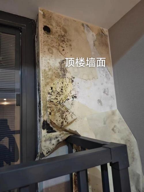 壁纸墙面发霉怎么处理游戏截图