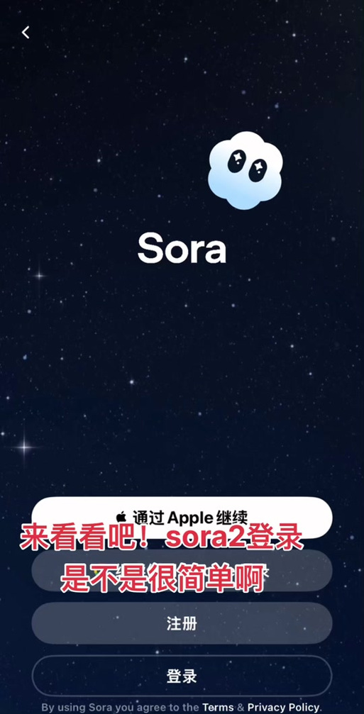 sora官网入口安卓缩略图