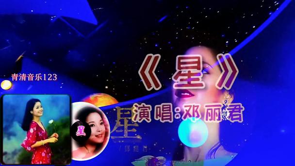 邓丽君星图标