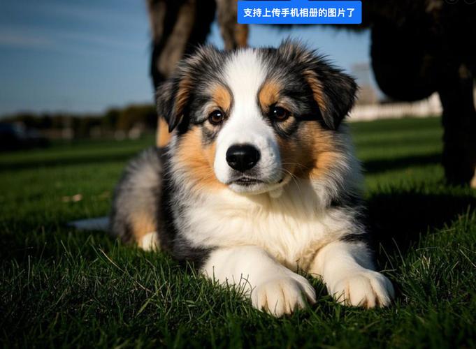 儿童最建议买的3种宠物缩略图