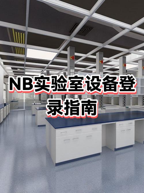 nb实验室官网入口旧版缩略图