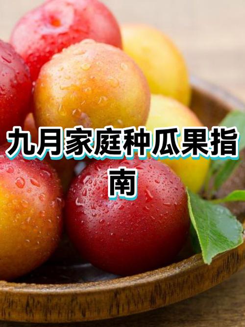 40种常见瓜果类