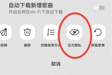 qq音乐隐私权限在哪里设置缩略图