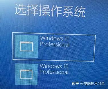 映像总裁装win10系统安装步骤游戏截图