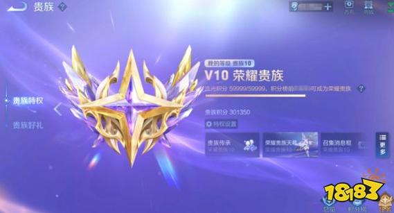 王者荣耀V10图标