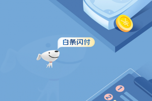 白条闪付是京东闪付吗缩略图