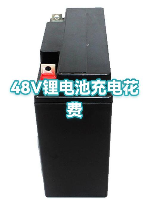锂电48v20ah多少钱游戏截图