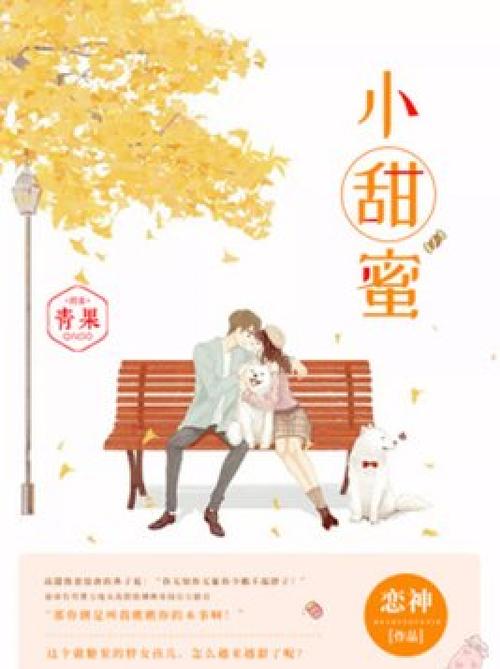 小甜蜜小说图标