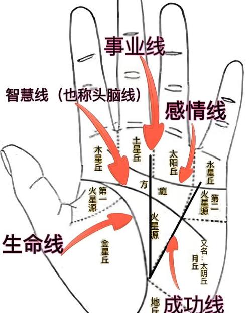 女人手掌乱纹多预示着什么