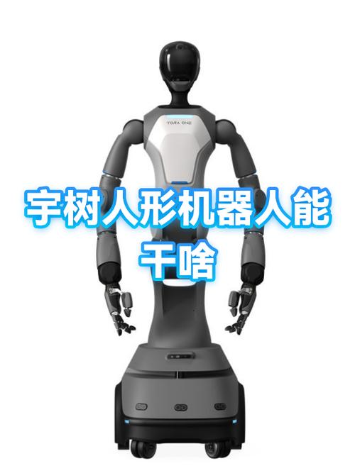 小鲸鱼遥控器怎么配对