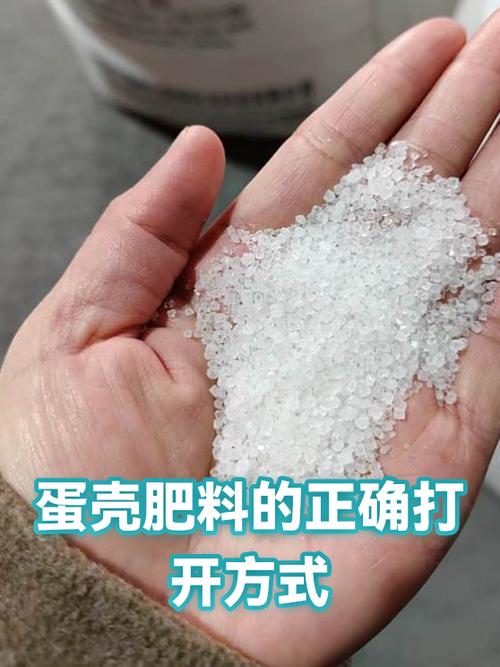 鸡蛋壳做肥料正确做法缩略图