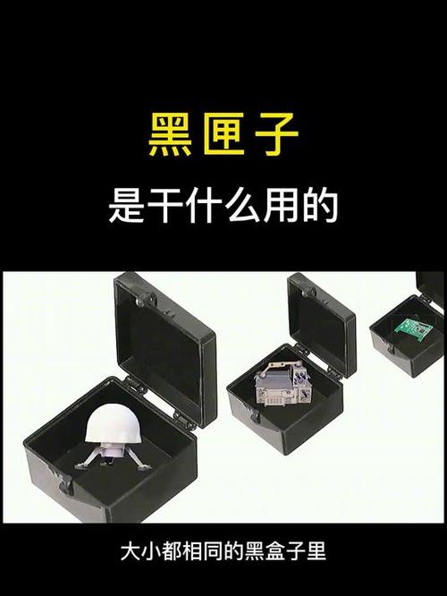 黑匣子安卓版缩略图