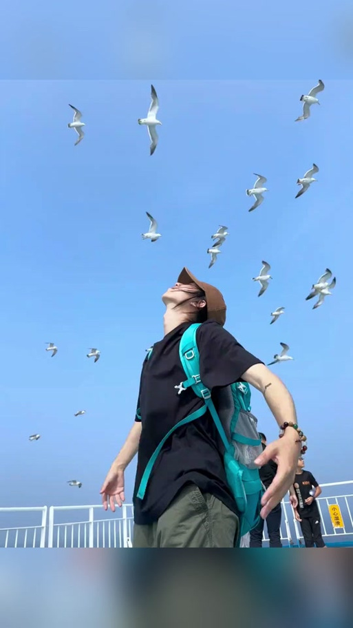 海鸥聊天官网下载