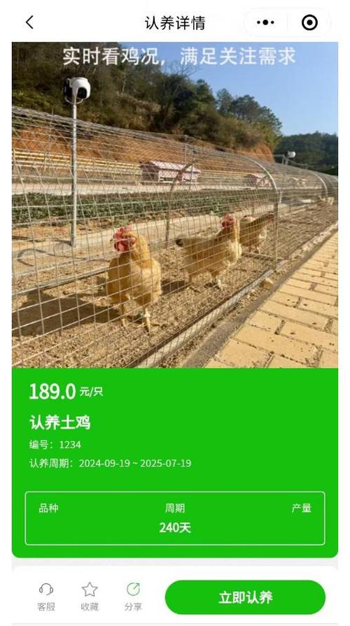 共享鸡盈利缩略图