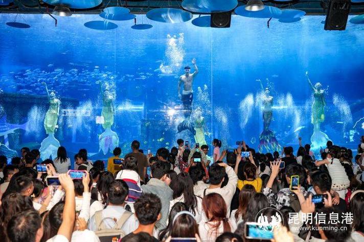 我的世界中焦海的图片图标