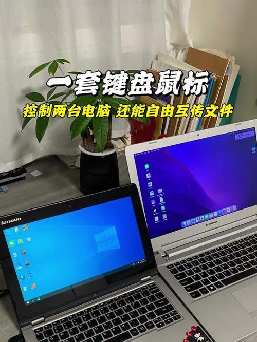键盘能控制鼠标吗