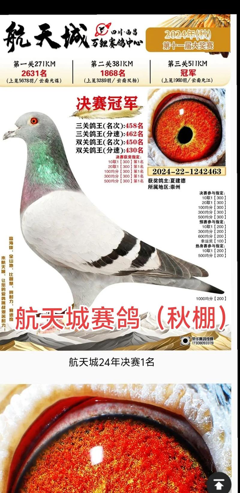 各地公棚信鸽信息网公棚DPS图标