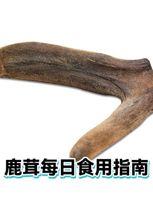 鹿茸片的食用方法
