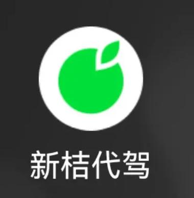 新桔代驾平台图标