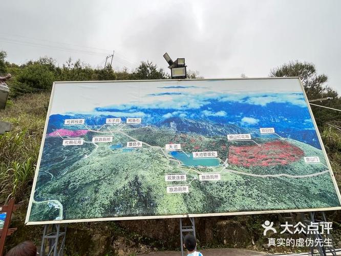 凤凰山下论坛贴吧缩略图
