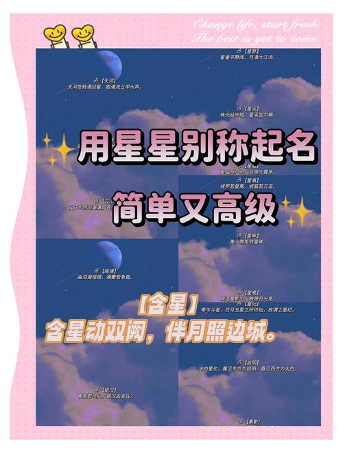 星光tv登录用户名图标
