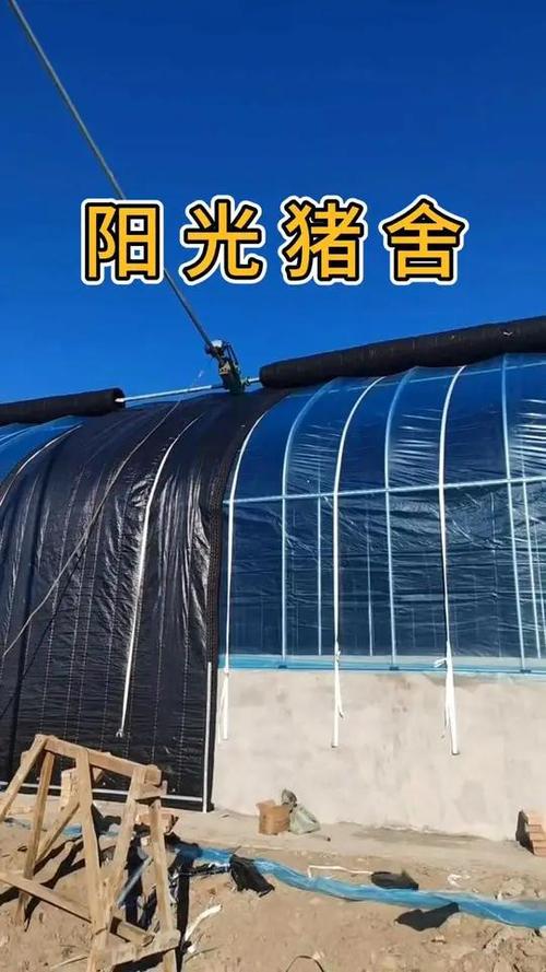 阳光养殖场游戏截图