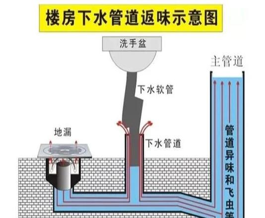 安装地漏视频