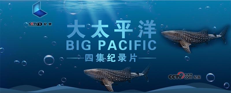 太平洋纪录片40集高清缩略图
