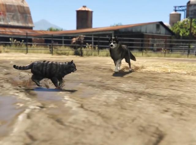 gta5会攻击人的动物