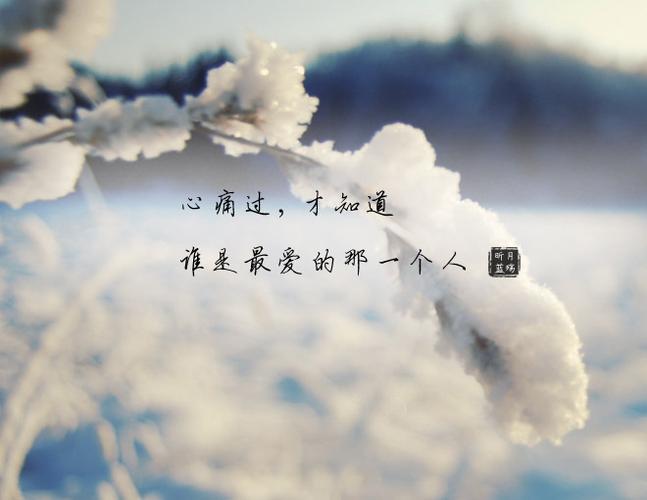 你好像从未出现在我的世界