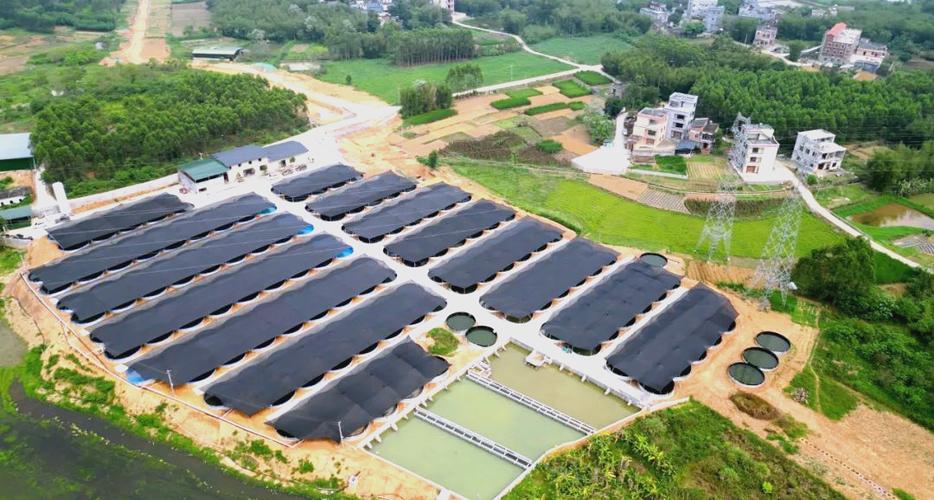 养殖小项目缩略图