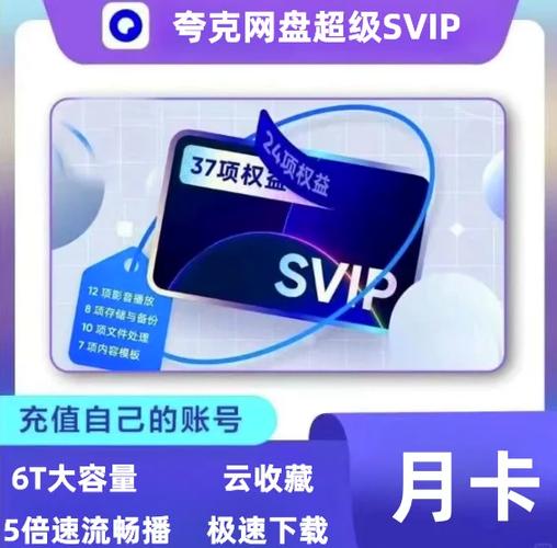 夸克年卡88vip图标