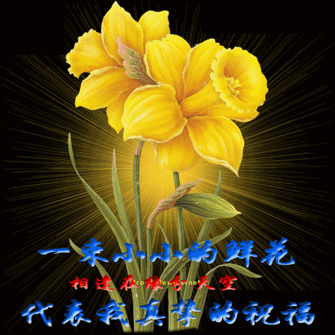 给自己的朋友圈点赞是什么意思缩略图