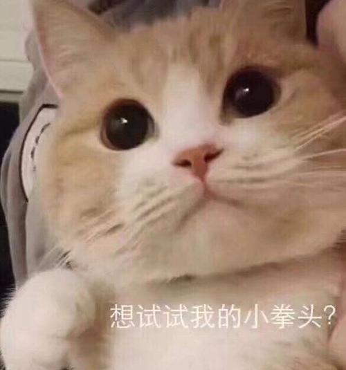 收小拳头表情包图标