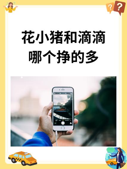 花小猪赚钱吗