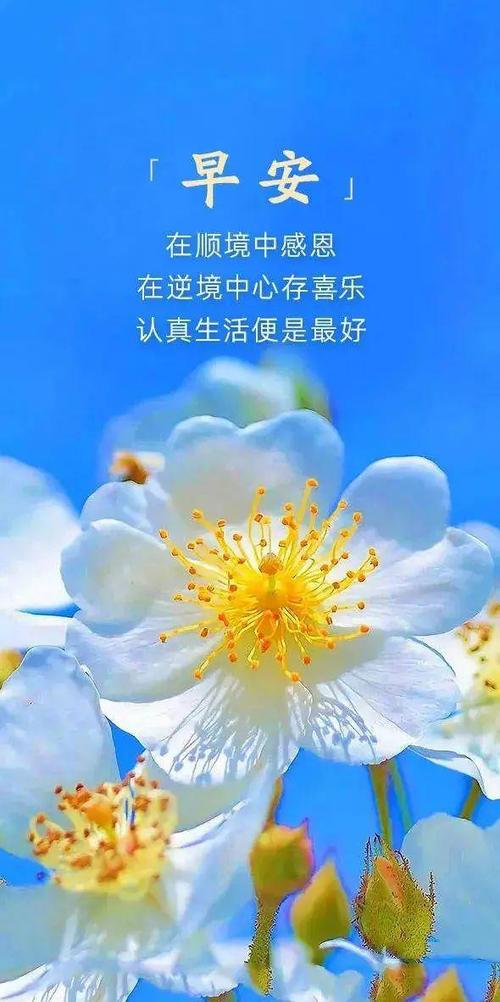 发朋友圈感慨一下心情的句子缩略图