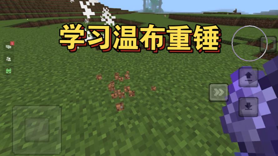 温布鞘翅重锤
