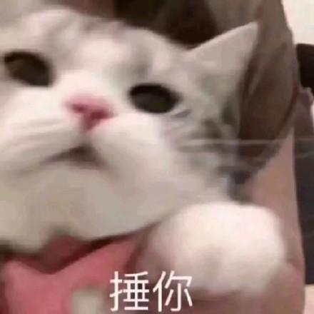 我想捶你表情包图标