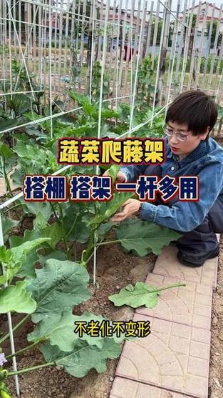 搭棚架子图片图标