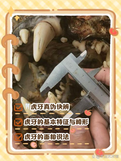 虎牙直播ipad开播教程缩略图