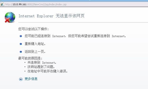 无法显示此网页图标