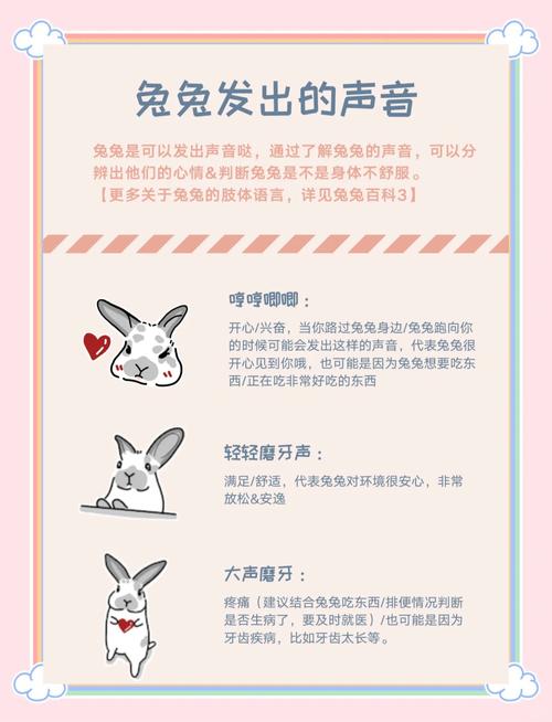 兔呼ios下载游戏截图
