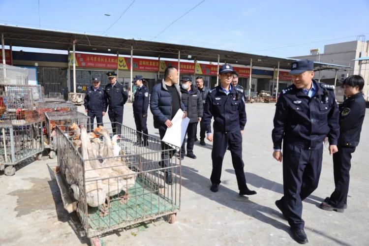 清风警察三部图标