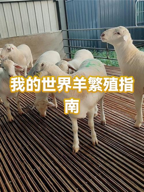 我的世界马和驴怎么繁殖缩略图