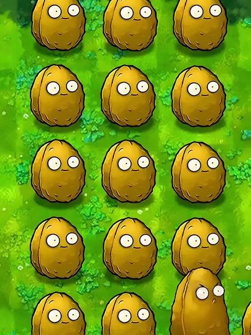 pvz坚果版正版下载