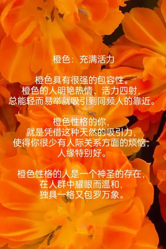 喜欢橙色的男孩性格怎么样缩略图