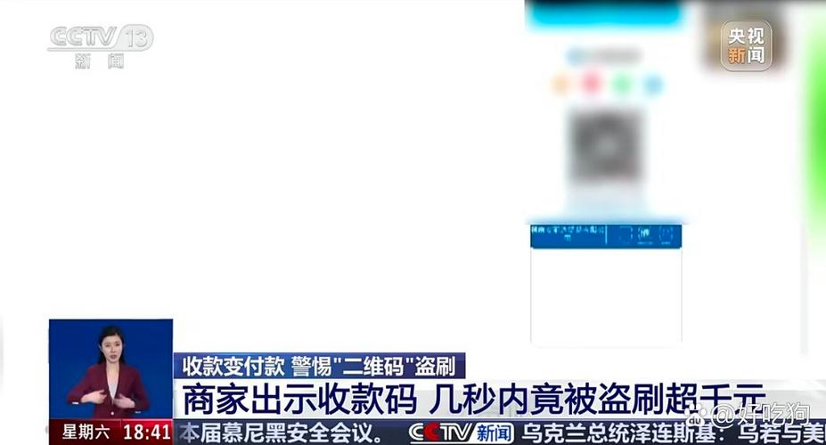 支付宝付款码被盗刷缩略图
