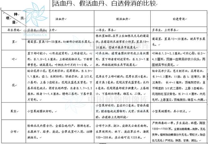 透骨消别名揭秘